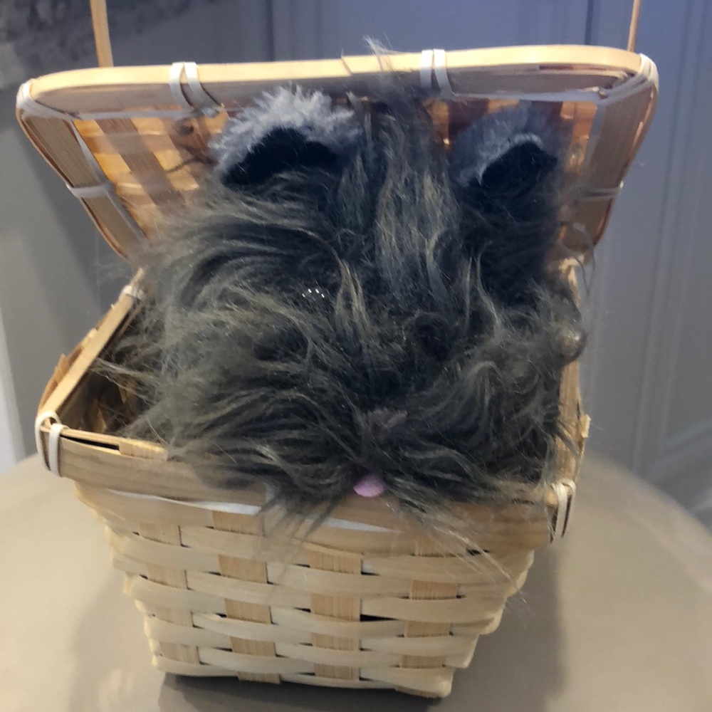 Wizard of Oz Dorothy’s Toto with Basket